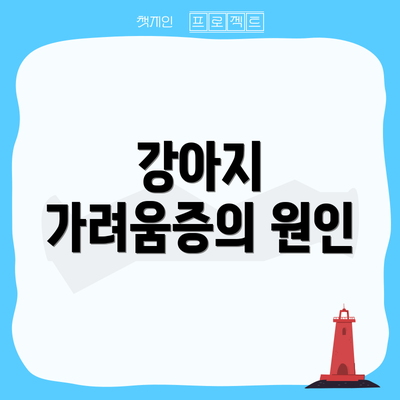 강아지 가려움증의 원인