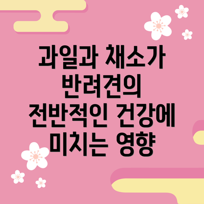 과일과 채소가 반려견의 전반적인 건강에 미치는 영향