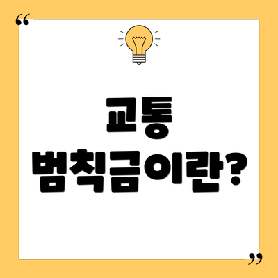 교통 범칙금이란?