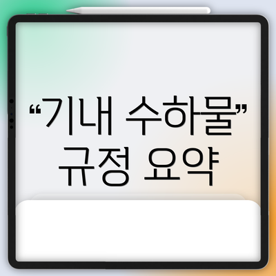 기내 수하물 규정 요약