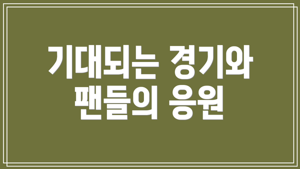 기대되는 경기와 팬들의 응원