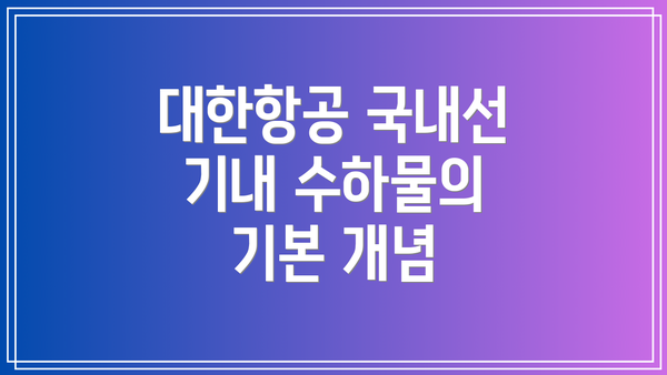 대한항공 국내선 기내 수하물의 기본 개념