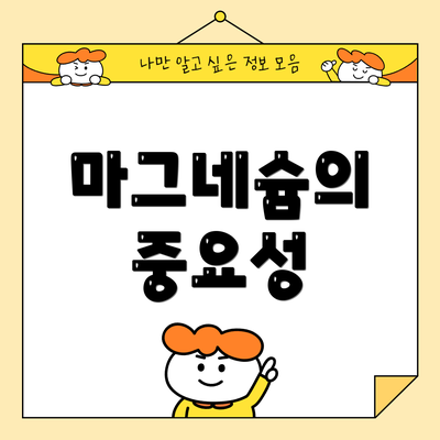 마그네슘의 중요성