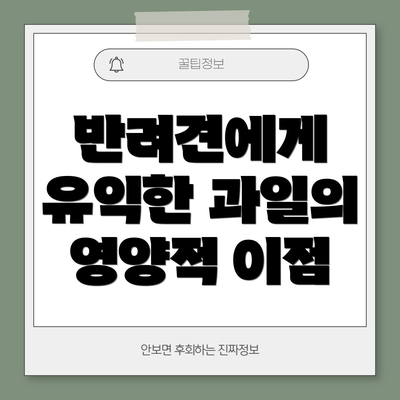 반려견에게 유익한 과일의 영양적 이점