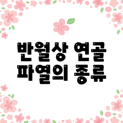 반월상 연골 파열의 종류