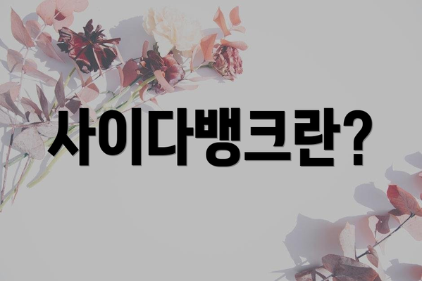 사이다뱅크란?