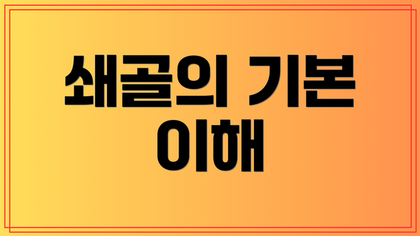 쇄골의 기본 이해