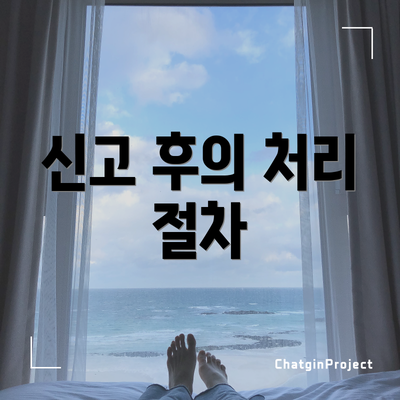 신고 후의 처리 절차
