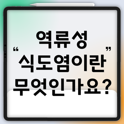 역류성 식도염이란 무엇인가요?