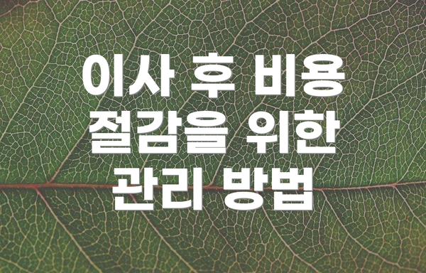 이사 후 비용 절감을 위한 관리 방법