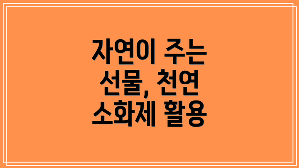 자연이 주는 선물, 천연 소화제 활용