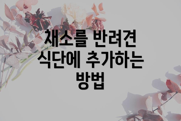 채소를 반려견 식단에 추가하는 방법