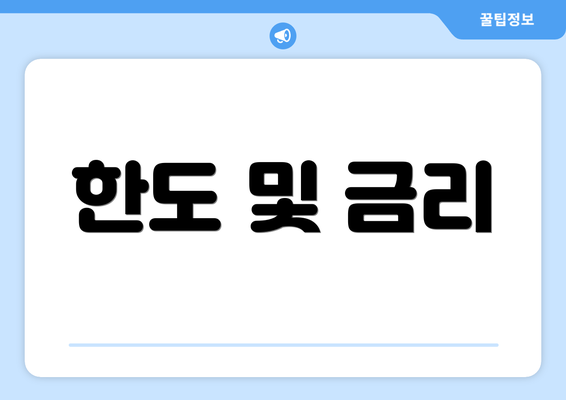 한도 및 금리