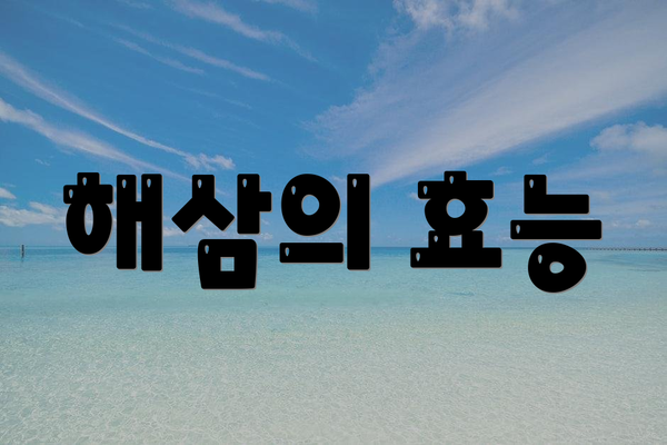 해삼의 효능