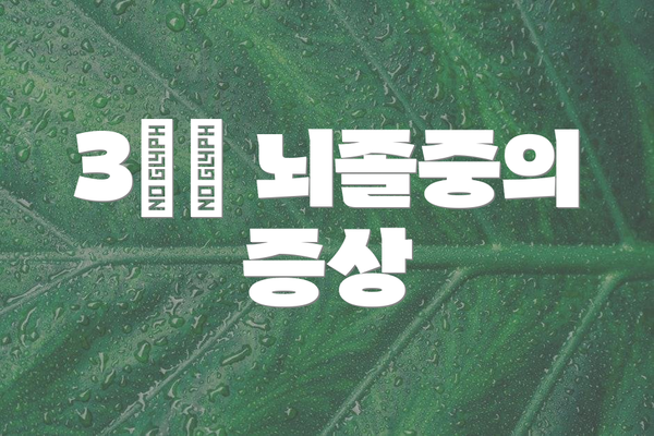 3️⃣ 뇌졸중의 증상