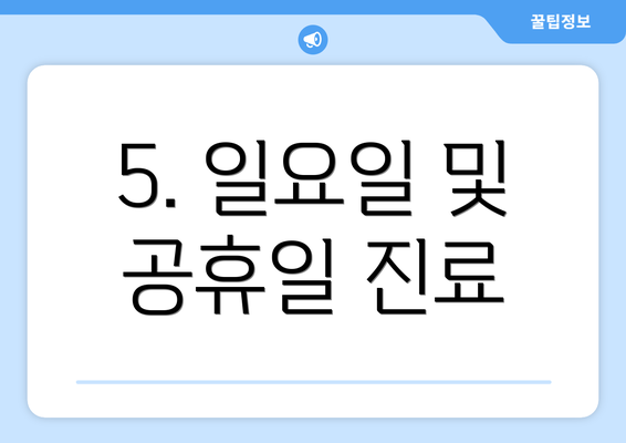 5. 일요일 및 공휴일 진료