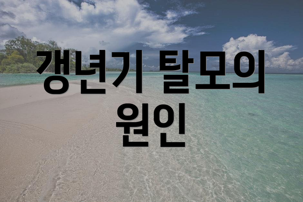 갱년기 탈모의 원인