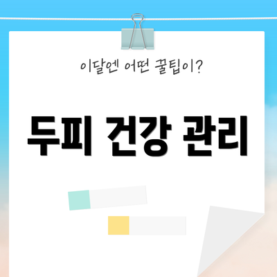 두피 건강 관리