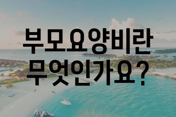 부모요양비란 무엇인가요?
