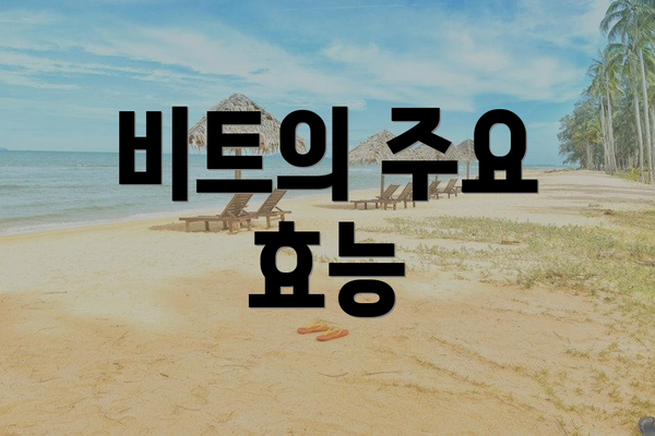 비트의 주요 효능