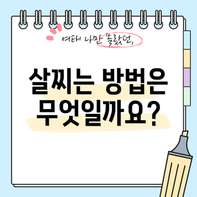 살찌는 방법은 무엇일까요?