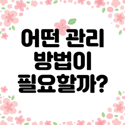 어떤 관리 방법이 필요할까?