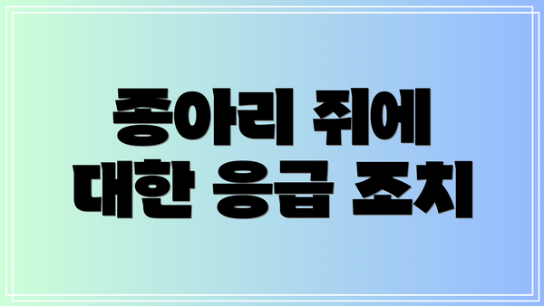 종아리 쥐에 대한 응급 조치