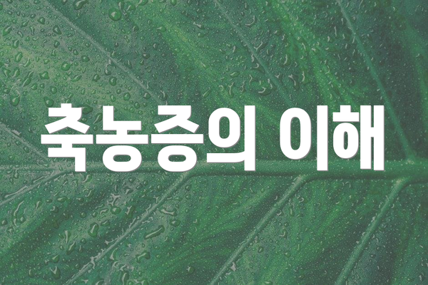 축농증의 이해