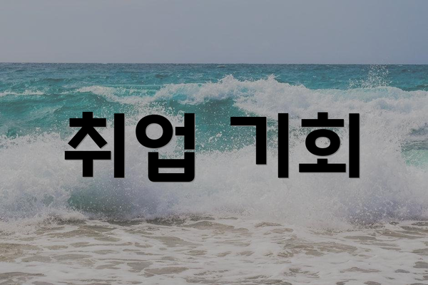 취업 기회