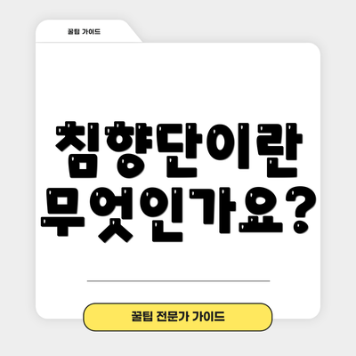 침향단이란 무엇인가요?