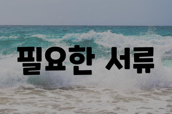 필요한 서류