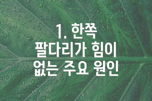 1. 한쪽 팔다리가 힘이 없는 주요 원인