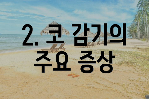 2. 코 감기의 주요 증상