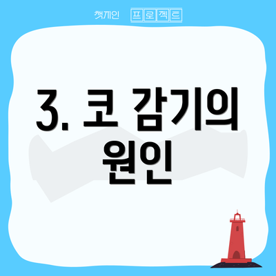 3. 코 감기의 원인