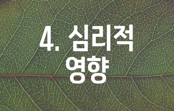 4. 심리적 영향