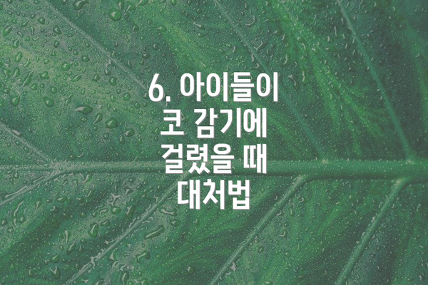 6. 아이들이 코 감기에 걸렸을 때 대처법