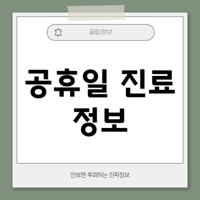 공휴일 진료 정보