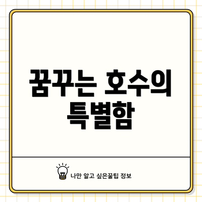 꿈꾸는 호수의 특별함