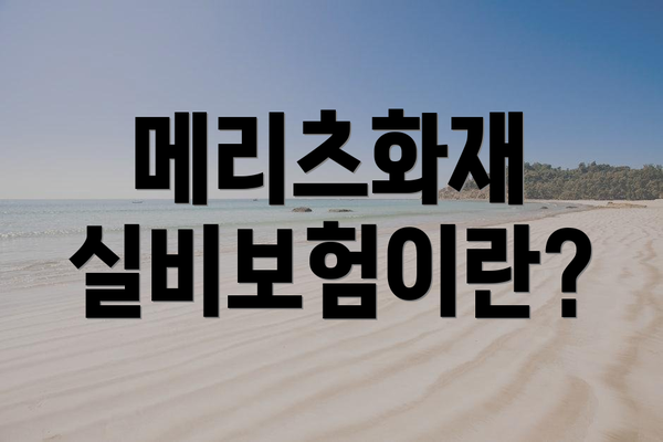 메리츠화재 실비보험이란?