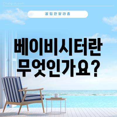 베이비시터란 무엇인가요?