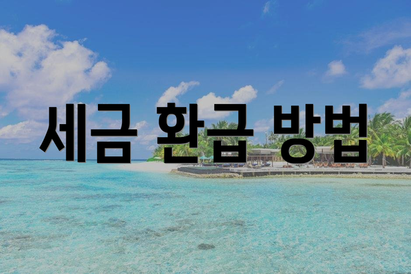 세금 환급 방법