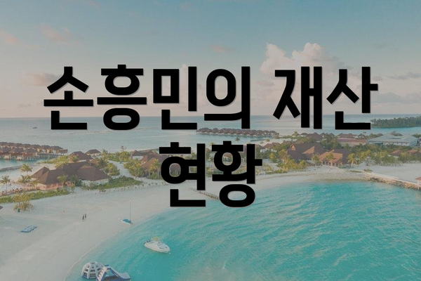 손흥민의 재산 현황