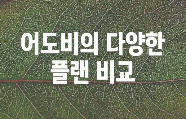 어도비의 다양한 플랜 비교