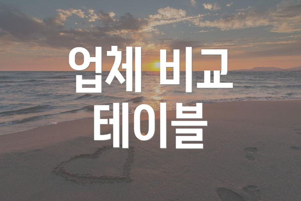 업체 비교 테이블