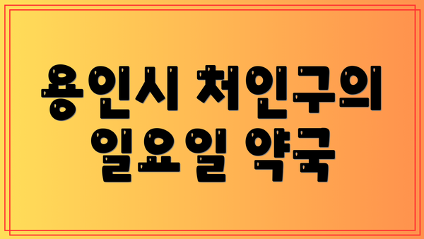 용인시 처인구의 일요일 약국