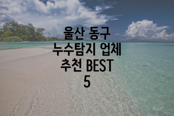울산 동구 누수탐지 업체 추천 BEST 5