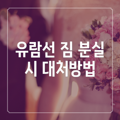 유람선 짐 분실 시 대처방법