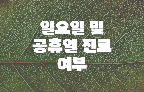 일요일 및 공휴일 진료 여부