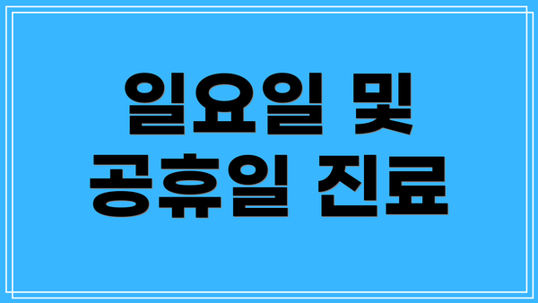 일요일 및 공휴일 진료