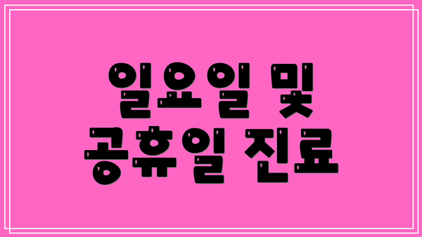 일요일 및 공휴일 진료